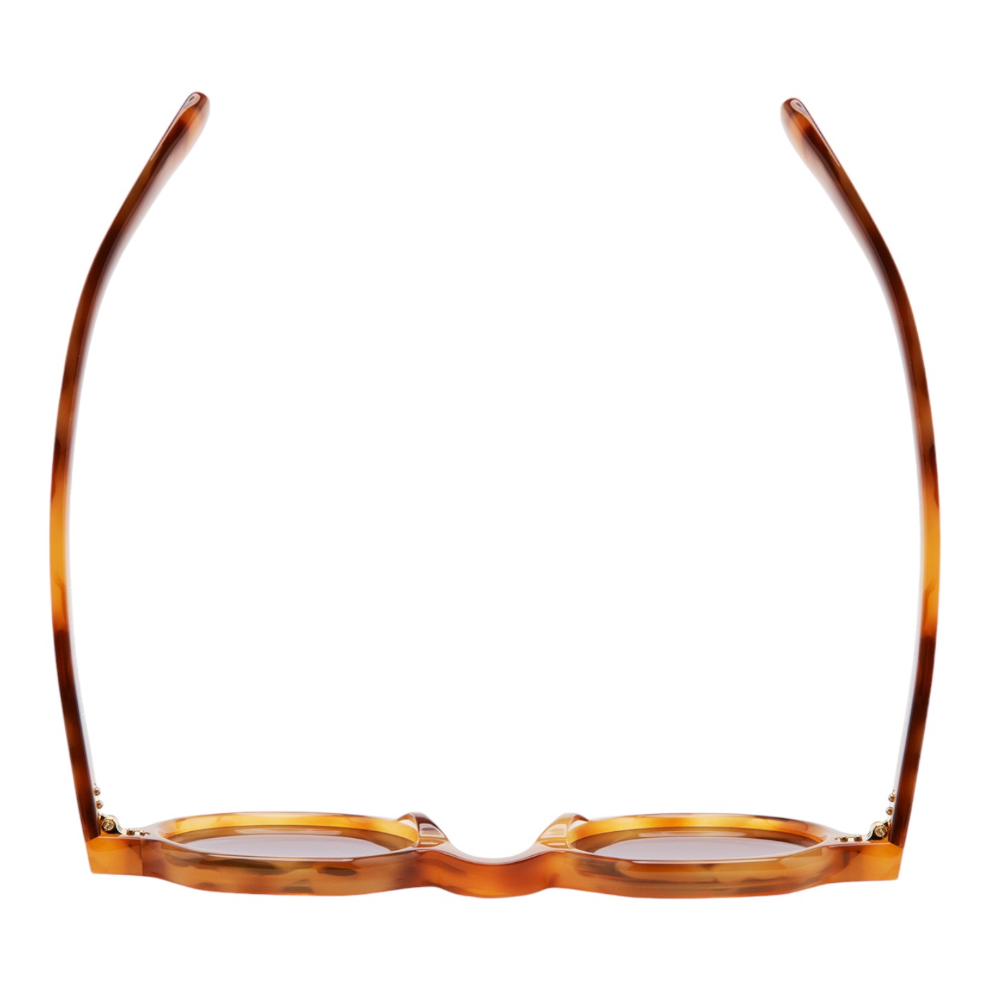 Kaleos Arnaz Leopar Unisex Güneş Gözlüğü - Görsel 3