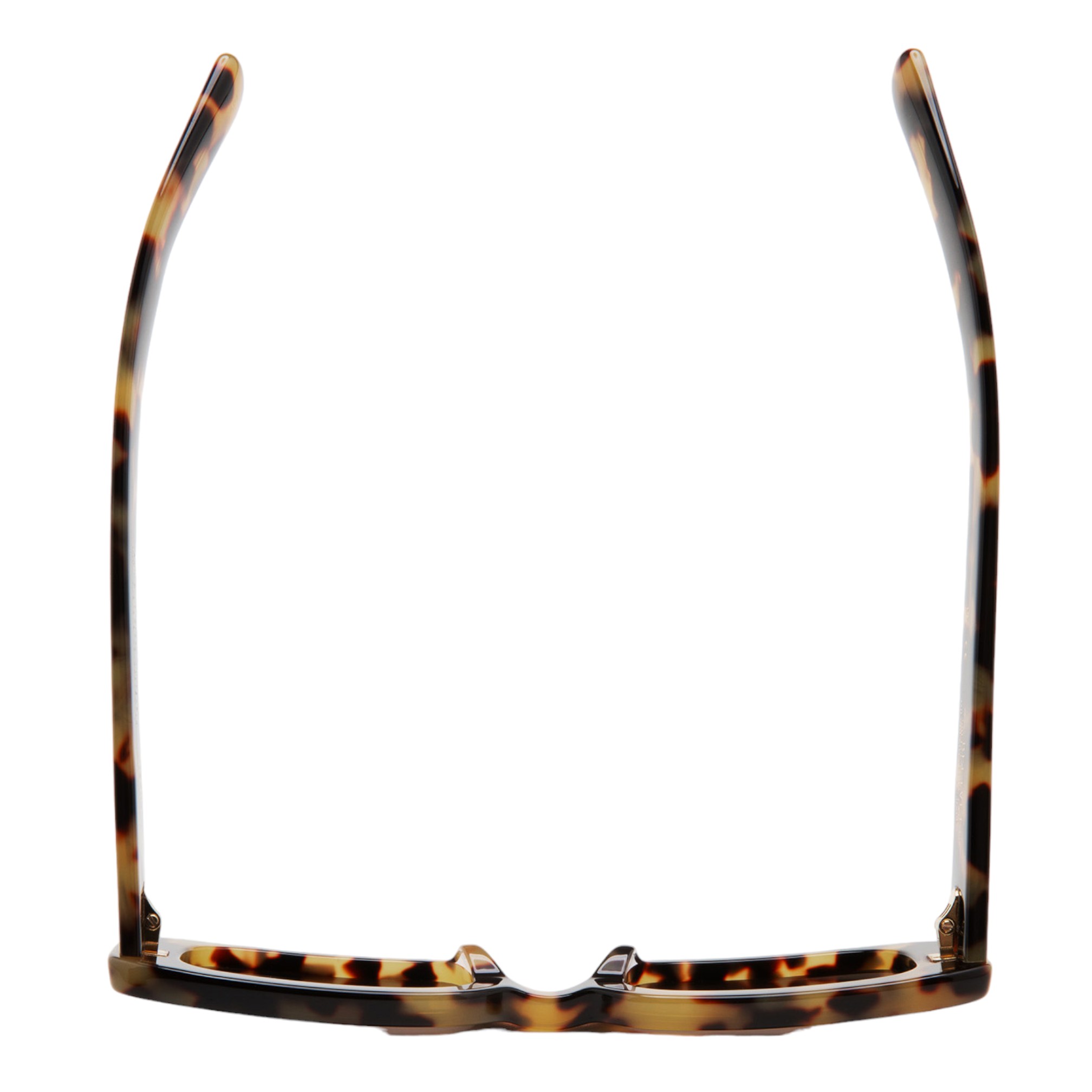 Kaleos Belivet Leopar Kadın Güneş Gözlüğü - Görsel 2