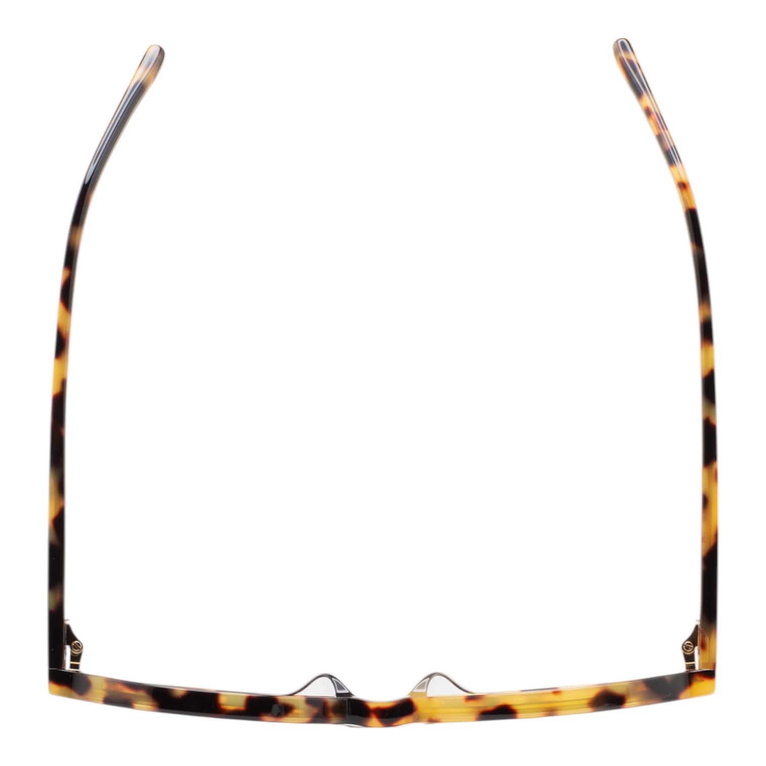 Kaleos Bless Havana Fotokromik Kadın Güneş Gözlüğü - Görsel 3