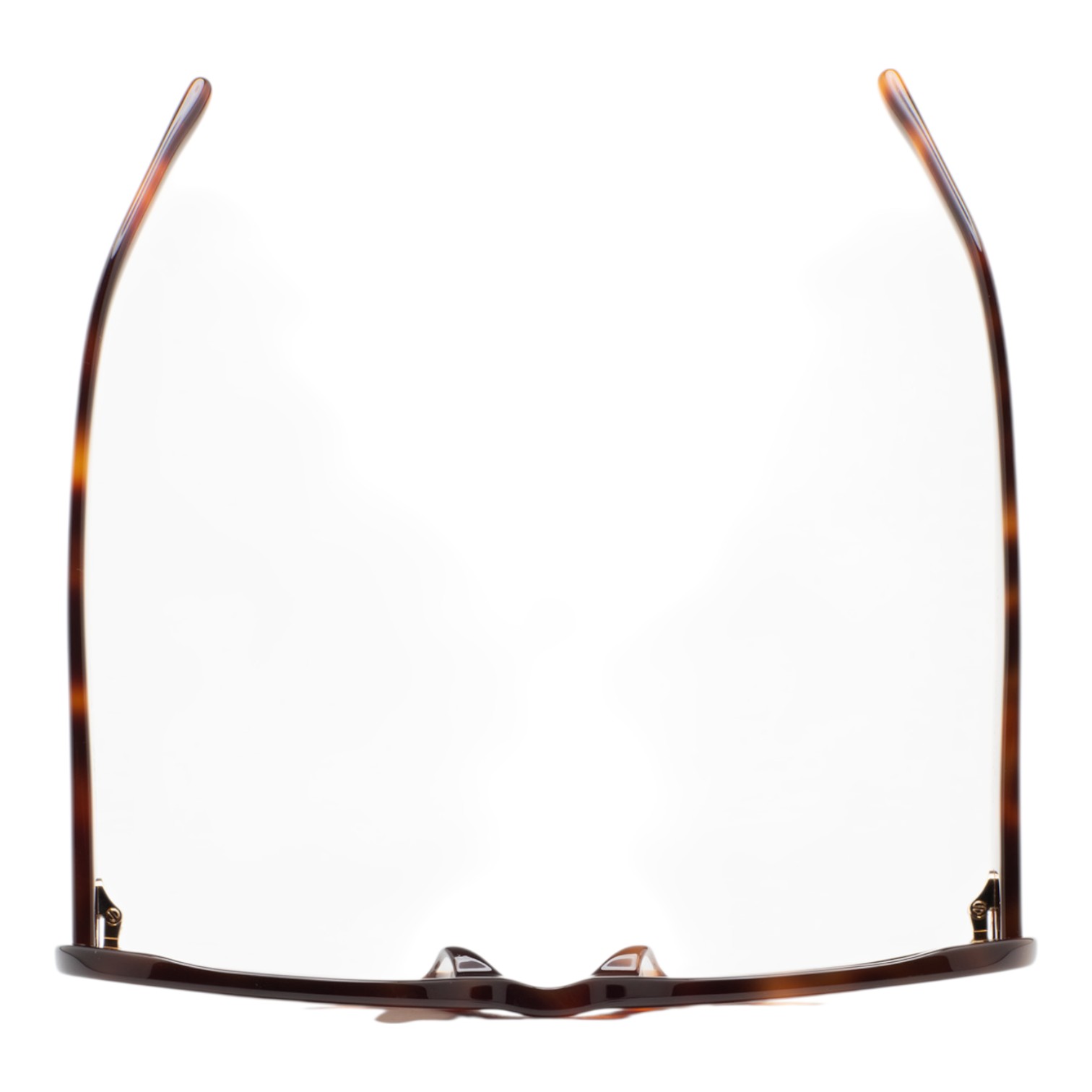 Kaleos Carlson Havana Kadın Güneş Gözlüğü - Görsel 2