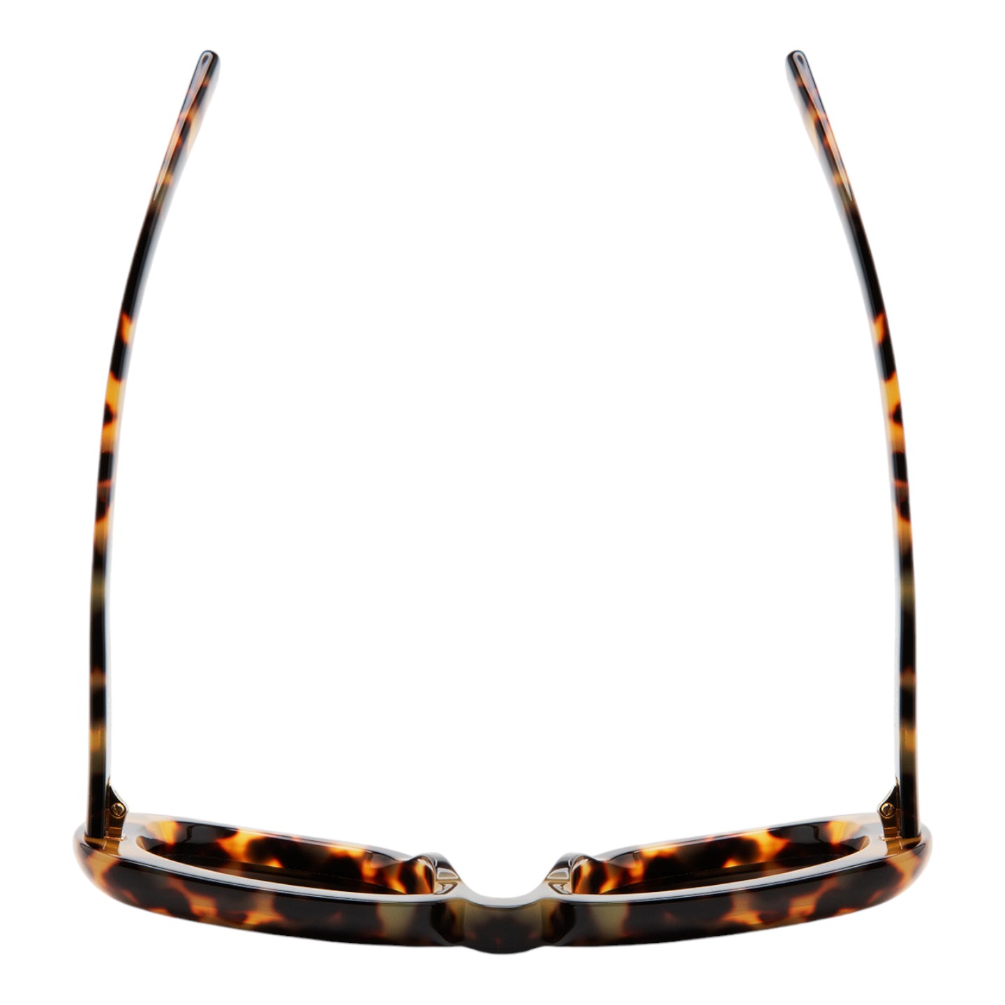 Kaleos Eddy Leopar Kadın Güneş Gözlüğü - Görsel 3