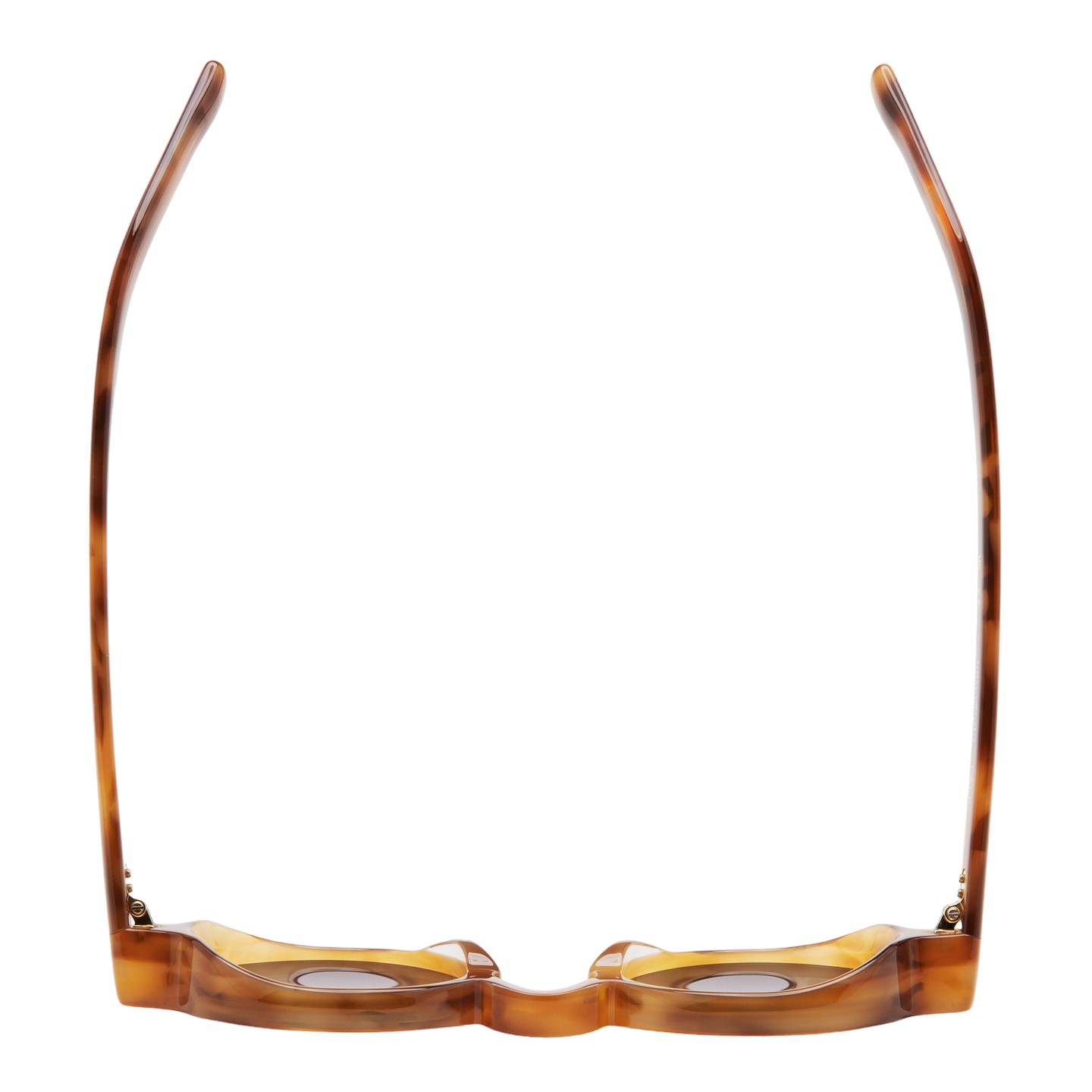 Kaleos Falk Kahverengi Unisex Güneş Gözlüğü - Görsel 2