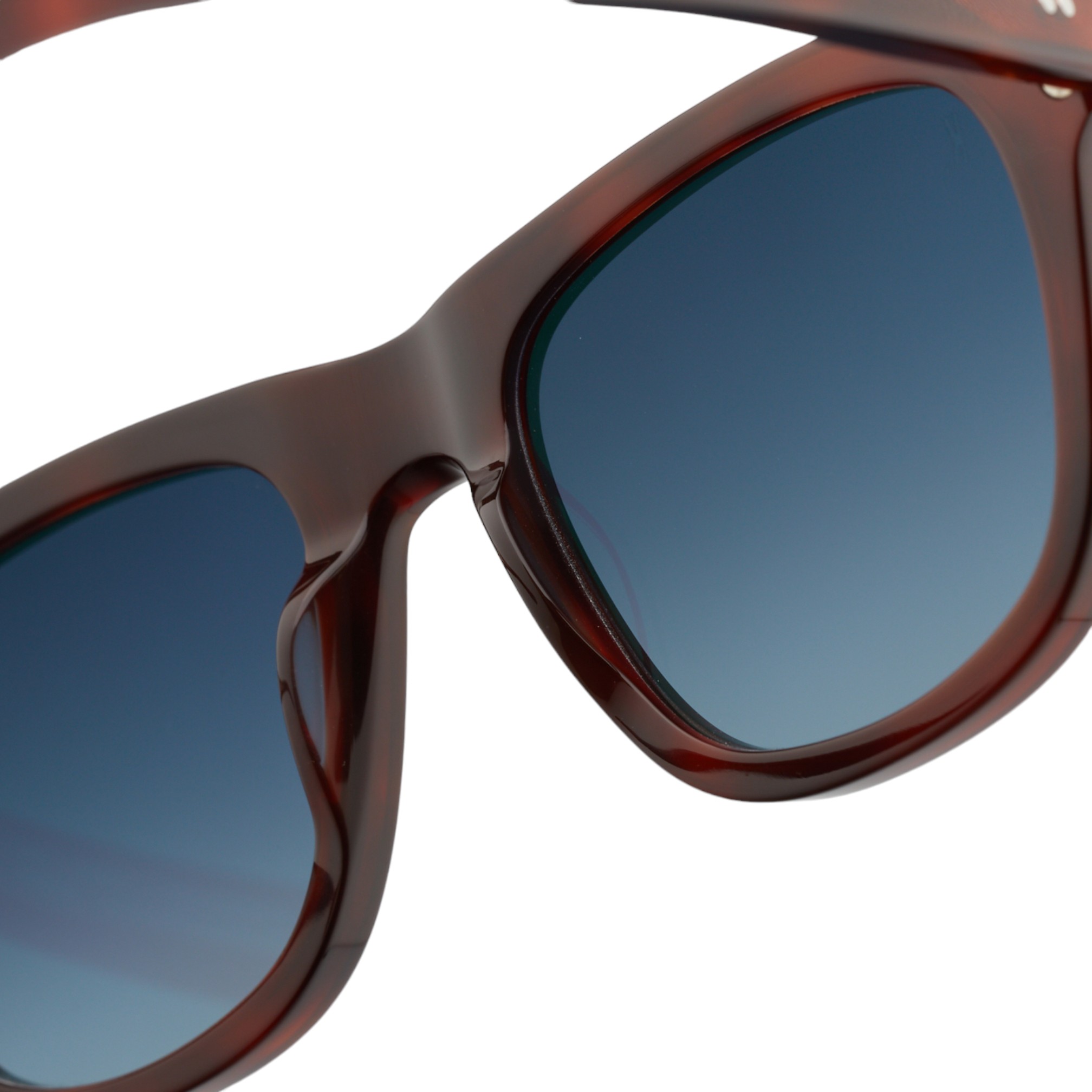 Kaleos Gilbert Kahverengi Unisex Güneş Gözlüğü - Görsel 4