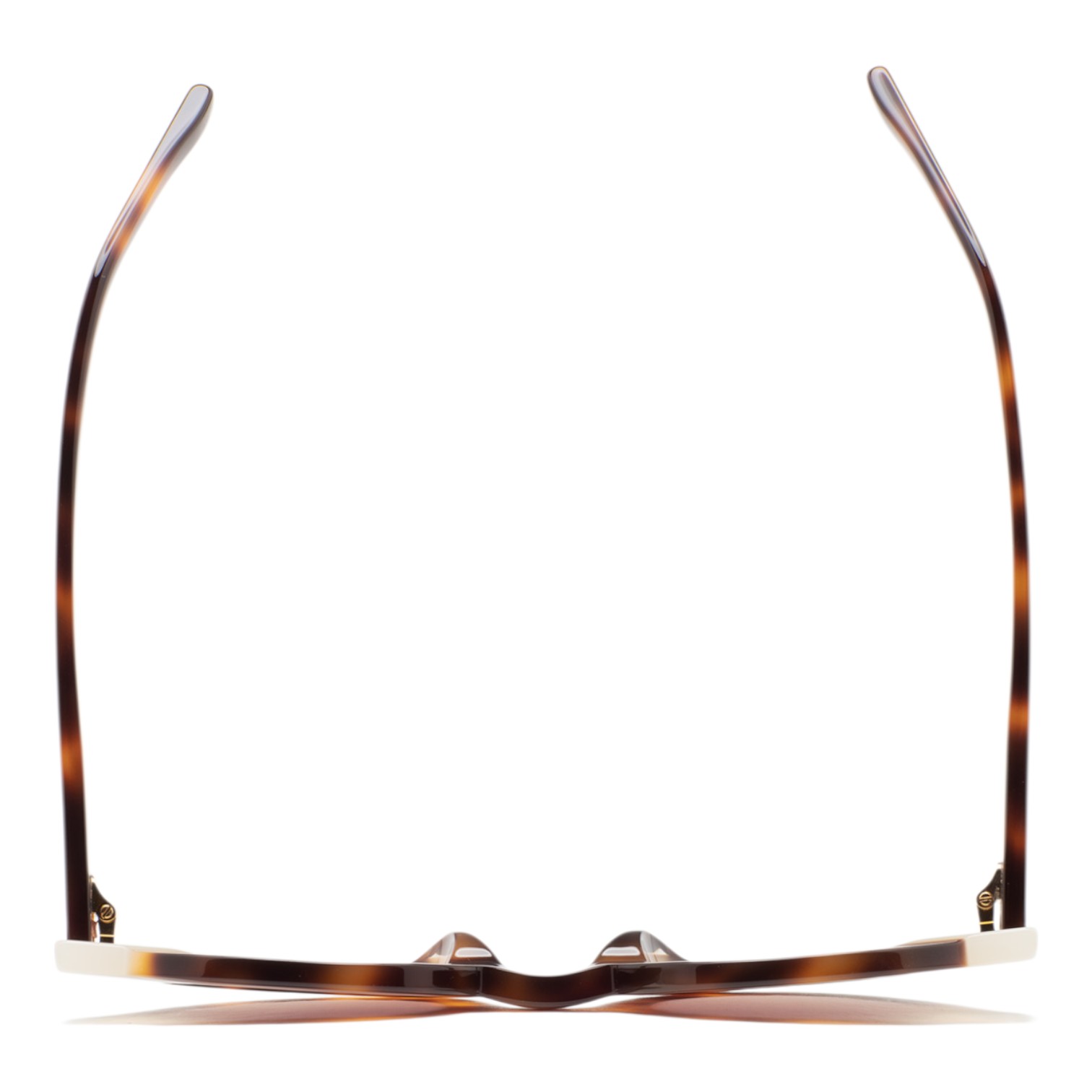 Kaleos Clark Havana Kadın Güneş Gözlüğü - Görsel 2