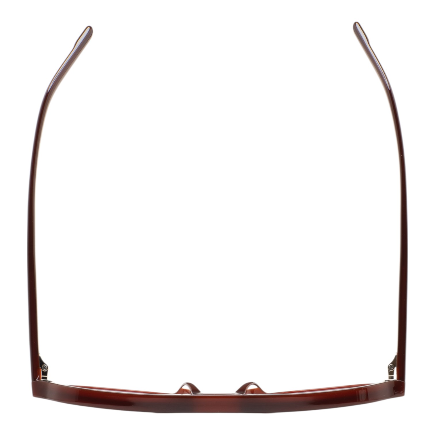 Kaleos Zebrino Kahverengi Unisex Güneş Gözlüğü - Görsel 2