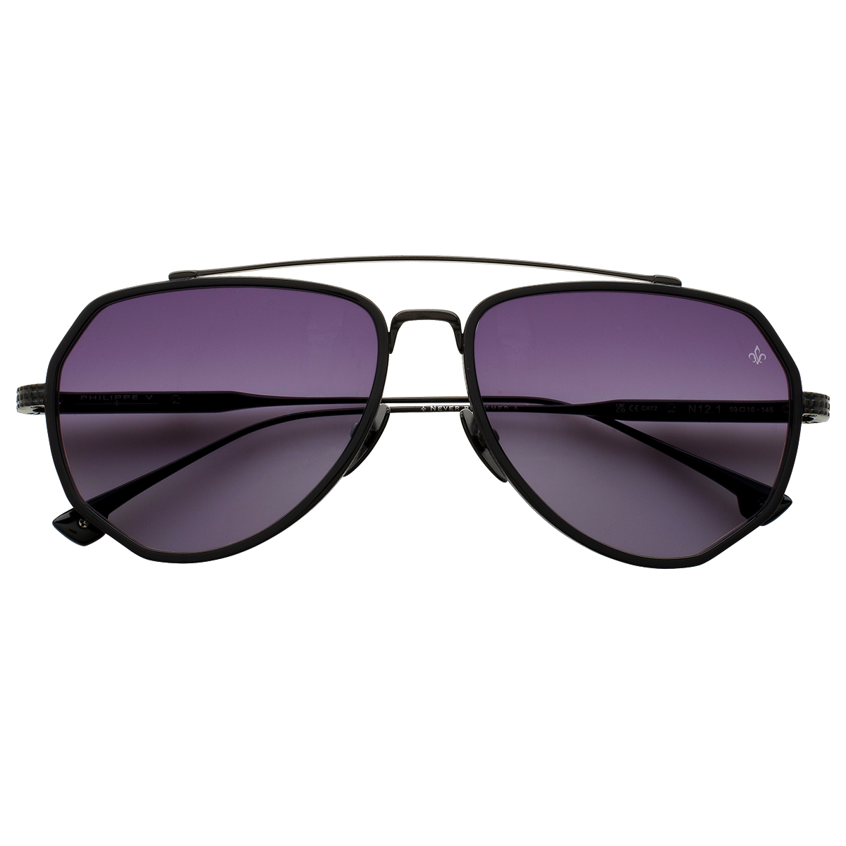 Philippe V N12.1 Mat Siyah Titanyum Unisex Güneş Gözlüğü