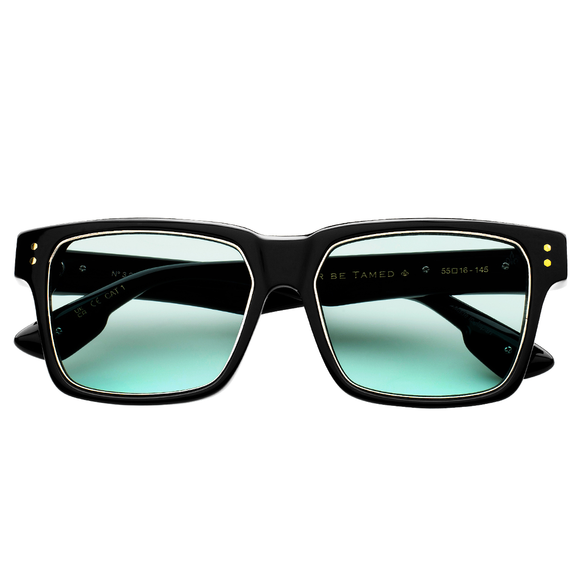 Philippe V N3.2 Siyah Yeşil Fotokromik Unisex Güneş Gözlüğü