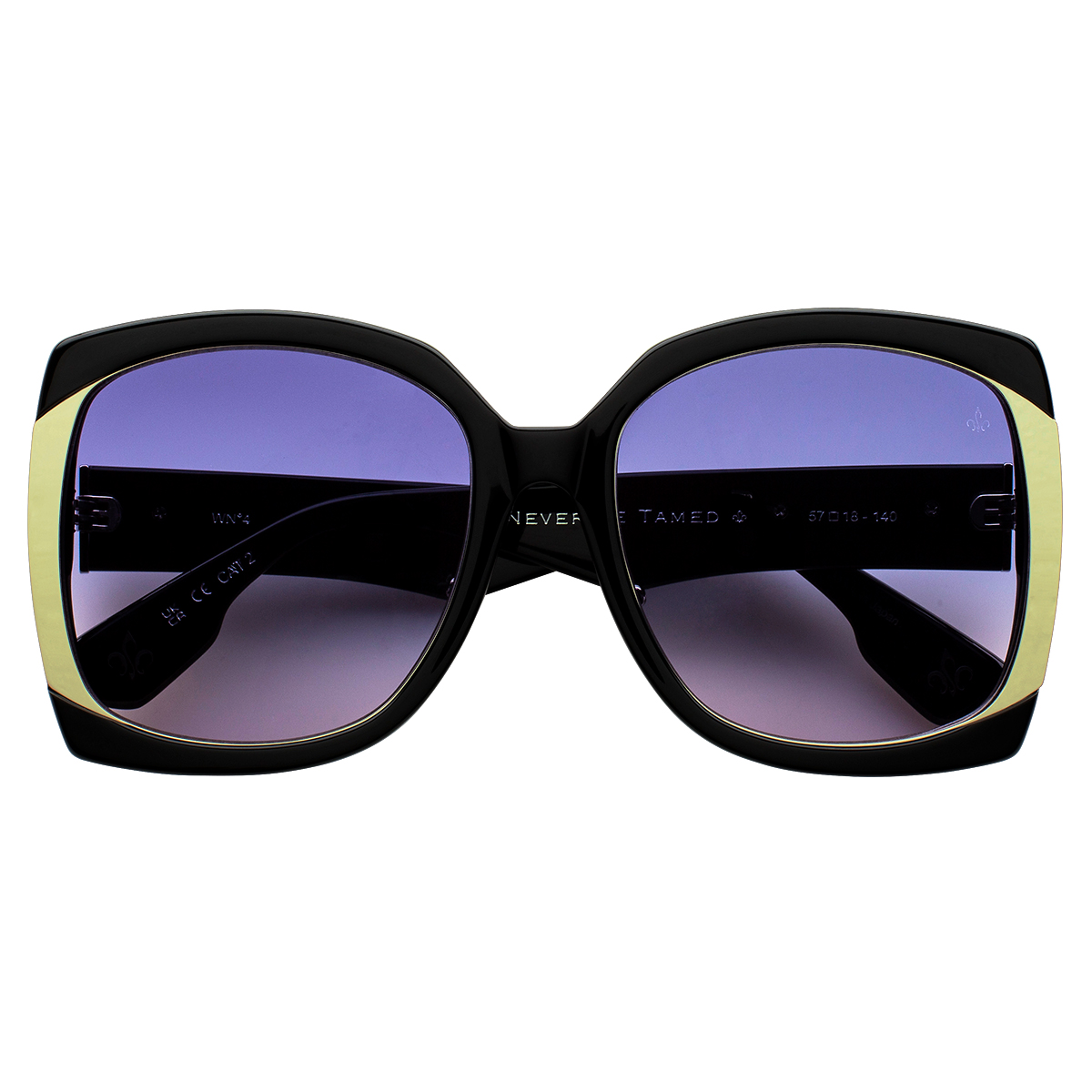 Philippe V WN4 Siyah Gümüş Lacivert Kadın Güneş Gözlüğü