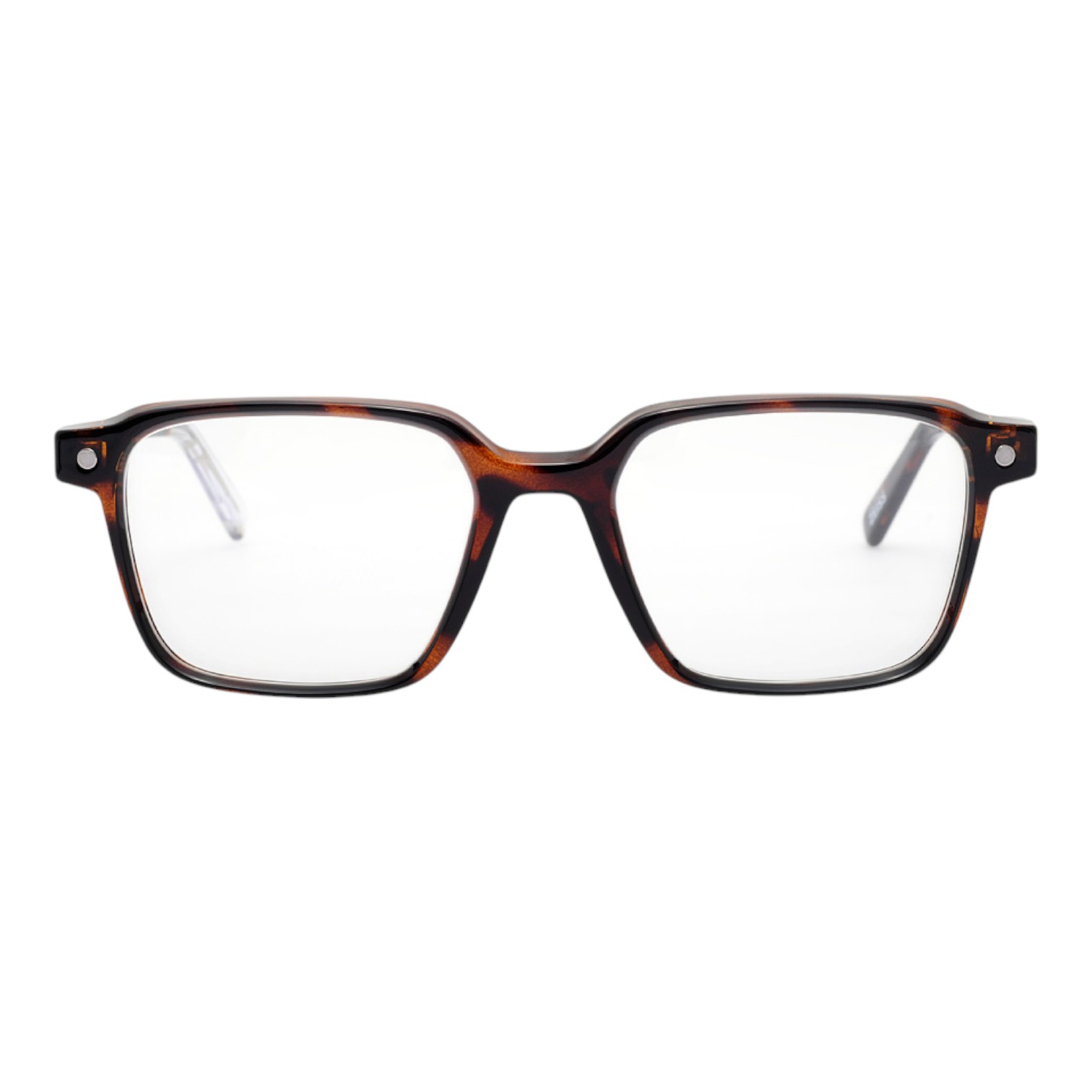 Snob Milano Ribot Leopar Unisex Optik / Güneş Gözlüğü - Görsel 3