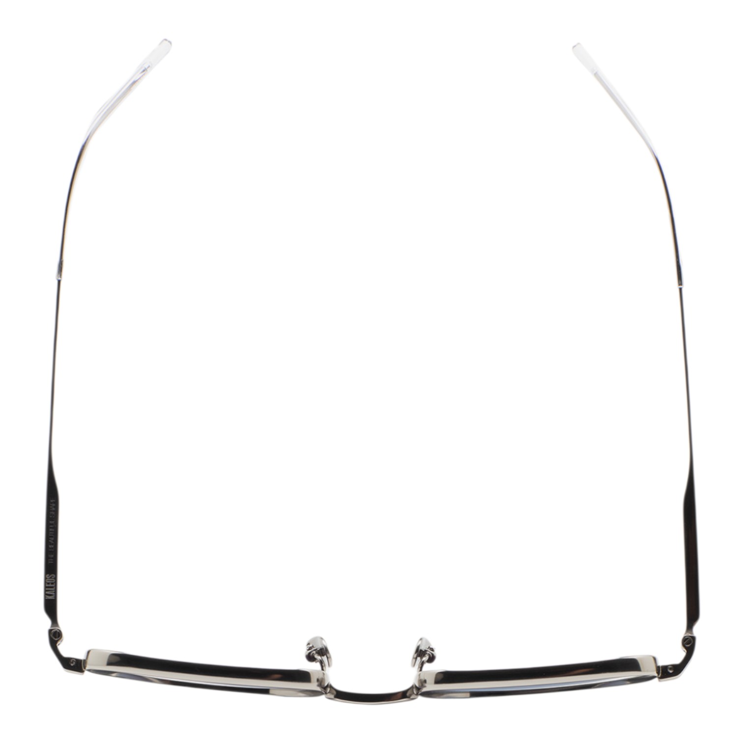 Kaleos Wieder Gümüş Titanyum Unisex Güneş Gözlüğü - Görsel 3