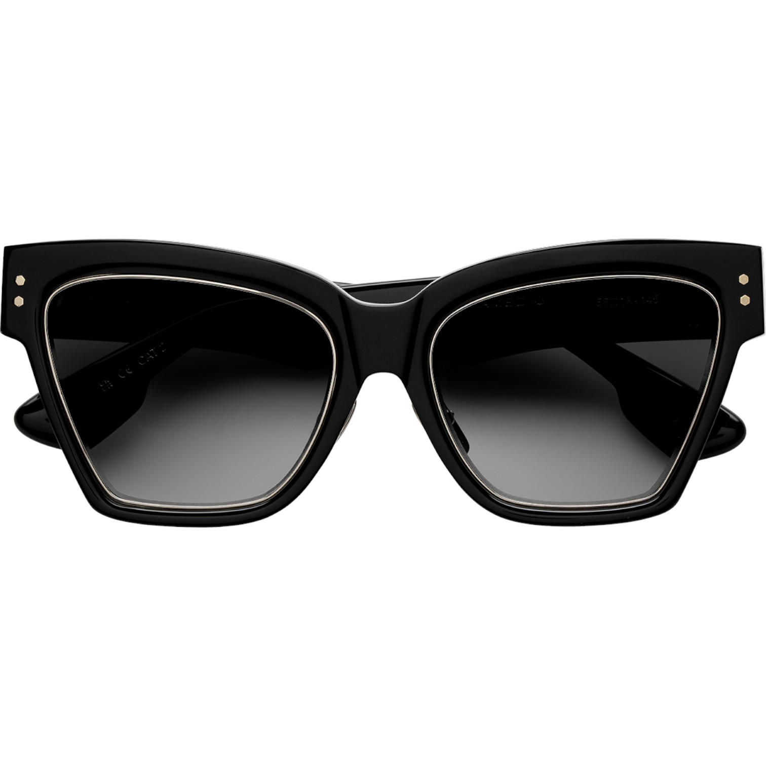 Philippe V WN9DC Siyah Gri Kadın Güneş Gözlüğü