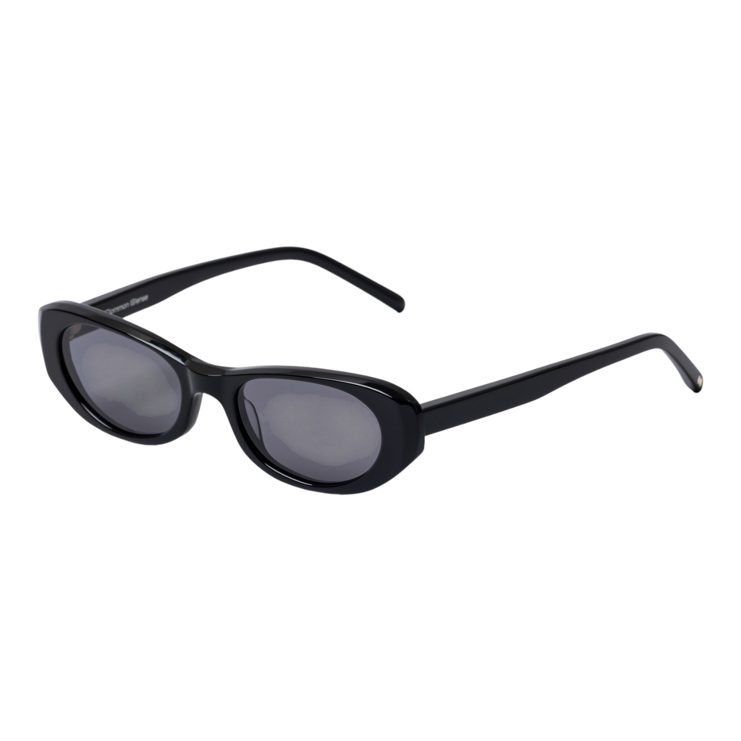 Common Sense Siyah Gri Kadın Güneş Gözlüğü - Görsel 2