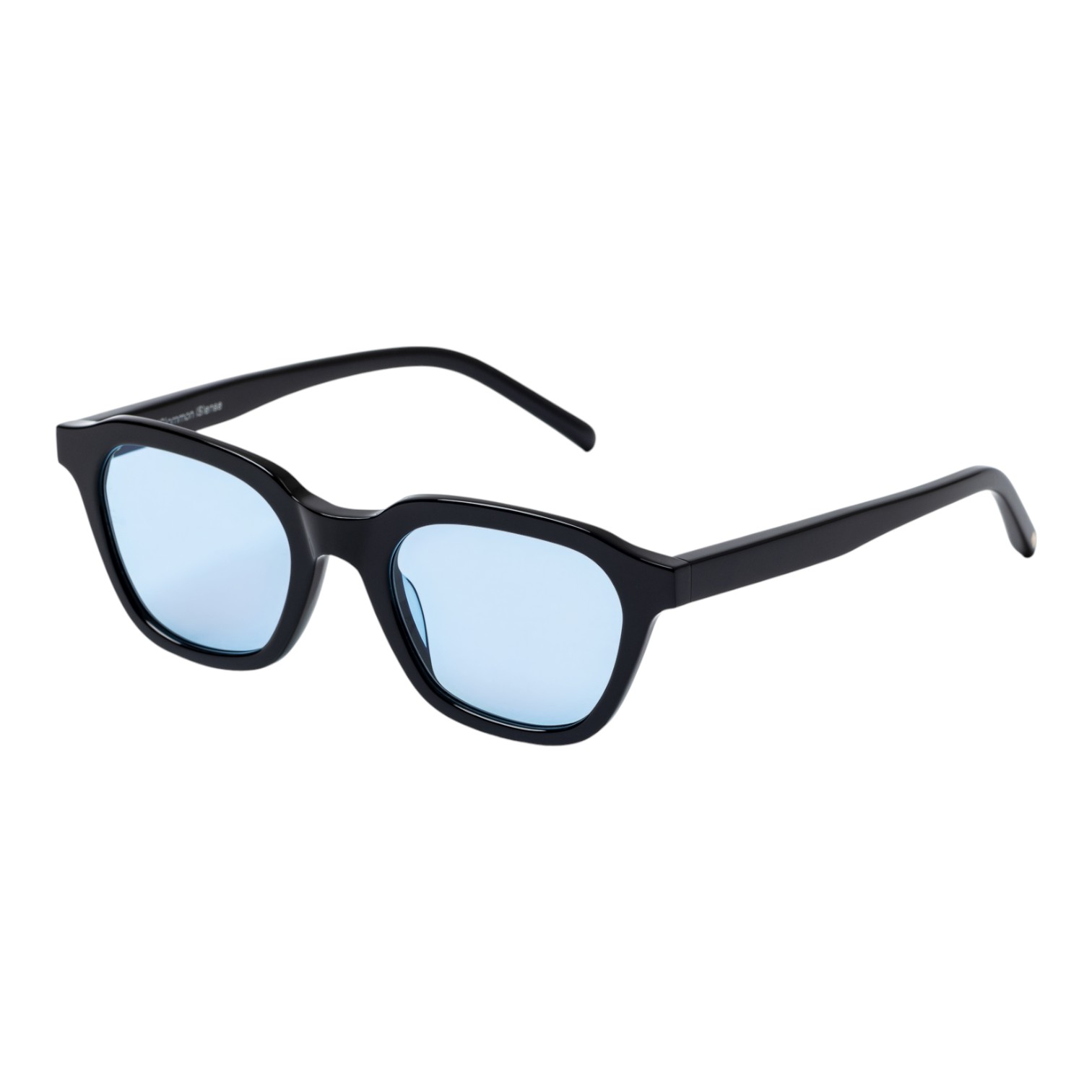 Common Sense Siyah Mavi Unisex Güneş Gözlüğü - Görsel 2