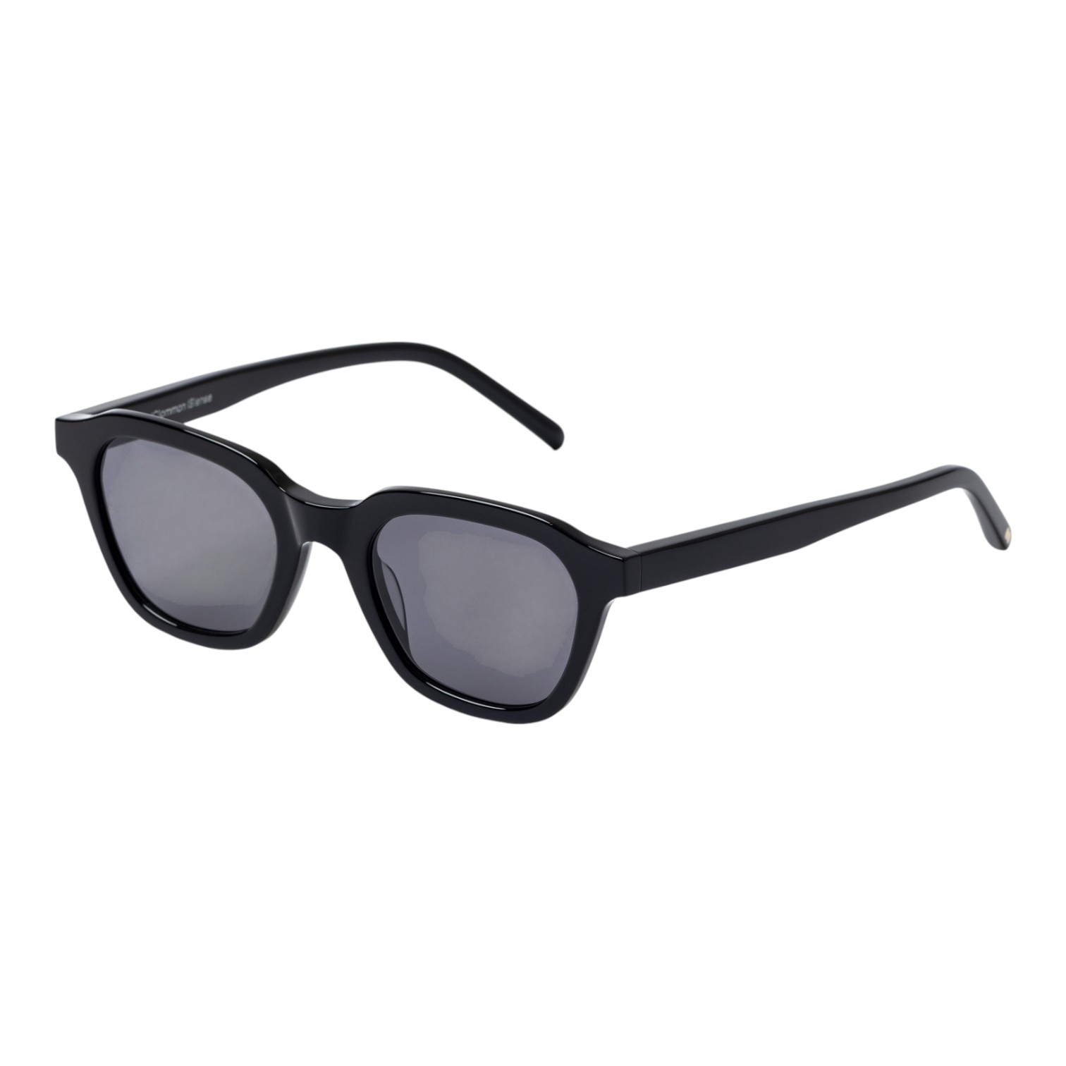 Common Sense Siyah Unisex Güneş Gözlüğü - Görsel 2