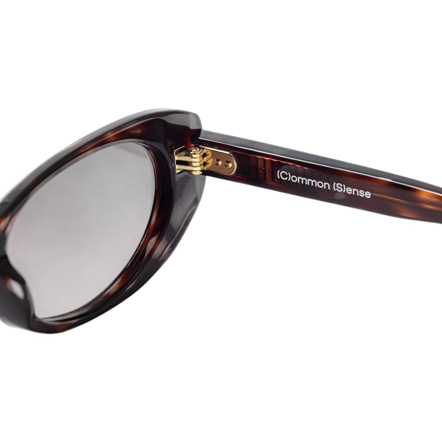 Common Sense Havana Kadın Güneş Gözlüğü - Görsel 3