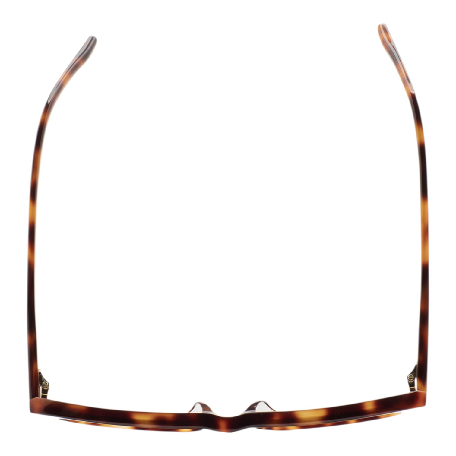 Kaleos Monte Havana Kadın Güneş Gözlüğü - Görsel 4